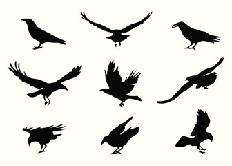 Crow-ing Vector Silhouette.eps