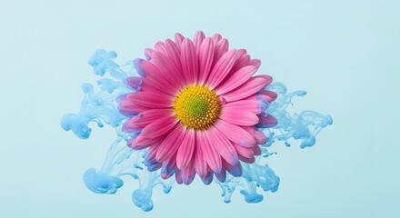 Pink Daisy with Blue Ink Cloud on Light Blue Background