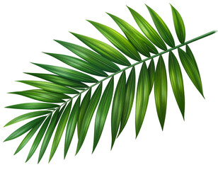 A vividly colored, detailed image of a palm leaf, green tones against a black background