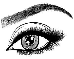 Illustration with woman's eye, eyelashes and eyebrow. Makeup Look. Tattoo design. Logo for brow bar or lash salon.