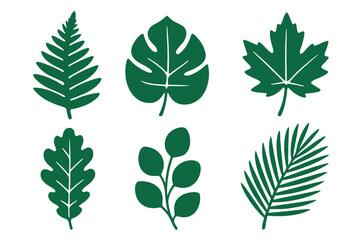 Vibrant collection of diverse green botanical leaves representing various plant species and natural foliage elements