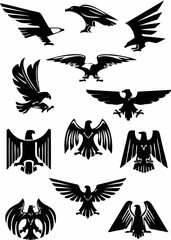 Eagle or falcon, aquila or ha...