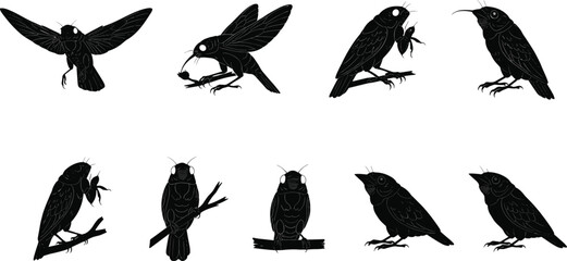 Cicada insect silhouette vector collection showing detailed flying and perched poses for nature, entomology, pest control, and creative design