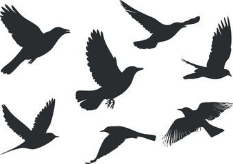 Silhouettes of various birds in flight showcasing movement and freedom in nature..