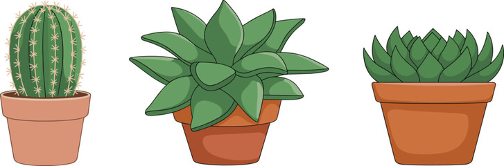 Cactus and succulent plants illustration, terracotta pots, indoor greenery decor, flat vector, botanical clipart, desert plant art, home gardening