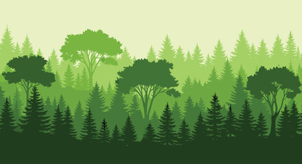 Fototapeta premium A serene forest landscape with varying shades of green trees.