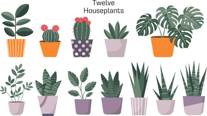 Minimalist flat illustration of twelve indoor houseplants in decorative pots, modern greenery, botanical sticker set, home garden plant decor.