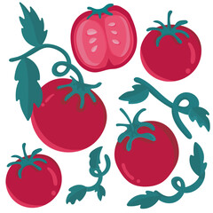 set of tomatoes