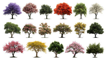 Tall Conifer & Green Trees Assortment