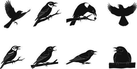 Vector illustration of black bird silhouettes showing flying, perched, singing, and feeding poses for nature, wildlife, and graphic design