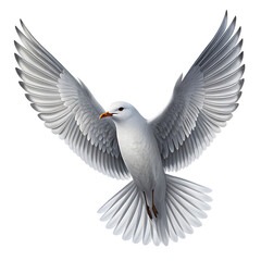 Fototapeta premium A seagull in flight with its wings spread wide, showcasing the beauty and freedom of nature isolated on transparent background, perfect for avian enthusiasts