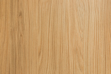 Close-up of wooden oak veneer surface texture
