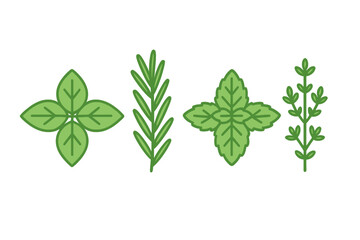 Fototapeta premium Collection of fresh culinary herbs including basil, rosemary, mint, and thyme for cooking and seasoning