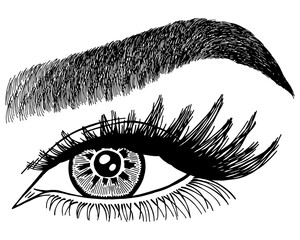 Illustration with woman's eye, eyelashes and eyebrow. Makeup Look. Tattoo design. Logo for brow bar or lash salon.