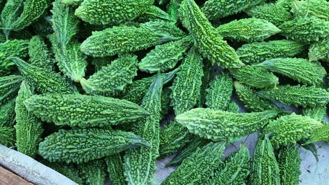 A large pile of bitter gourds, also known as karelas or bitter melons, is available for sale at a shop.