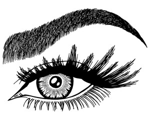 Illustration with woman's eye, eyelashes and eyebrow. Makeup Look. Tattoo design. Logo for brow bar or lash salon.