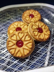 Savory Biscuits with Oven Process