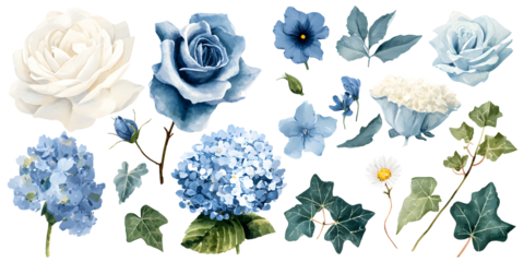 Watercolor blue and white flower set, floral leaves and bouquet arrangement isolated on transparent background for decor and wedding design

