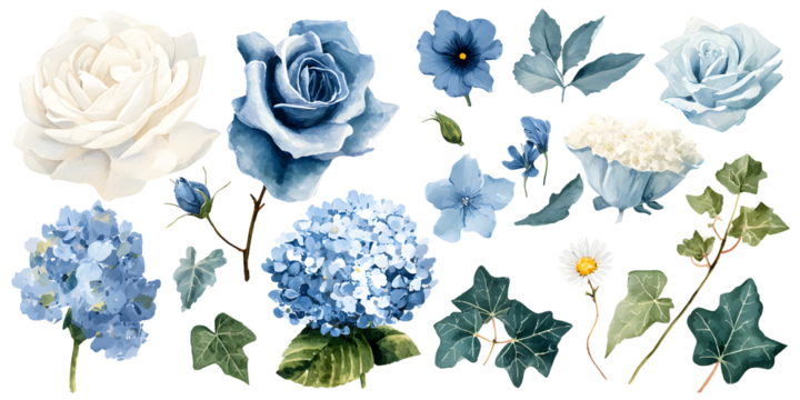 Watercolor blue and white flower set, floral leaves and bouquet arrangement isolated on transparent background for decor and wedding design

