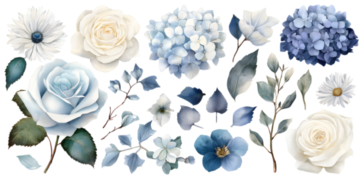 Watercolor blue and white flower set, floral leaves and bouquet arrangement isolated on transparent background for decor and wedding design


