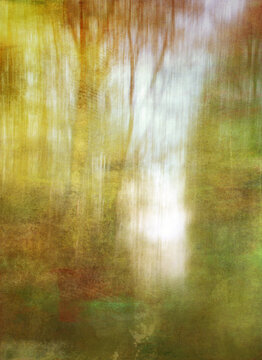 wald b&auml;ume malerei leinwand lichtung himmel baum cover verlauf bewegung hintergrund modulation narrativ friedwald trauer gedenken