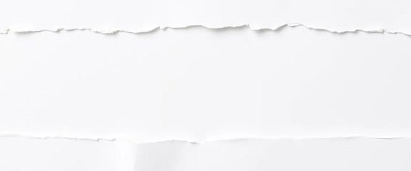 Close-up of ragged, unevenly torn white paper edges against a clean background,  distressed,  torn edge