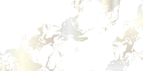 Obraz premium Delicate White Cherry Blossoms in Soft Sunlight.