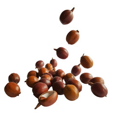 Pile of myrobalan fruits isolated on transparent background.