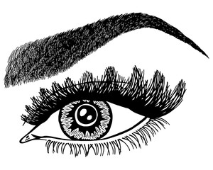 Illustration with woman's eye, eyelashes and eyebrow. Makeup Look. Tattoo design. Logo for brow bar or lash salon.