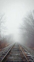 Fototapeta premium Train tracks stretching into a thick, hazy fog with bare trees lining the sides railway railroad