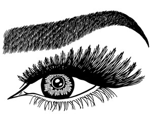 Illustration with woman's eye, eyelashes and eyebrow. Makeup Look. Tattoo design. Logo for brow bar or lash salon.