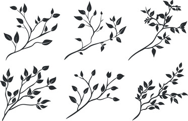 Obraz premium A collection of botanical silhouettes featuring branches and leaves in various arrangements..
