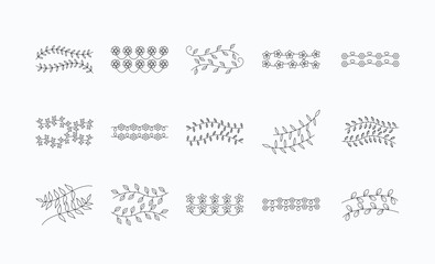 Hand Drawn Botanical Line Graphic Pack