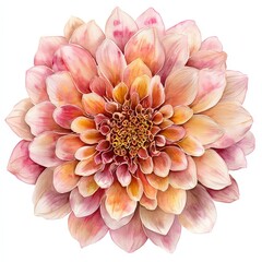 Yellow Watercolor Dahlia on White Background