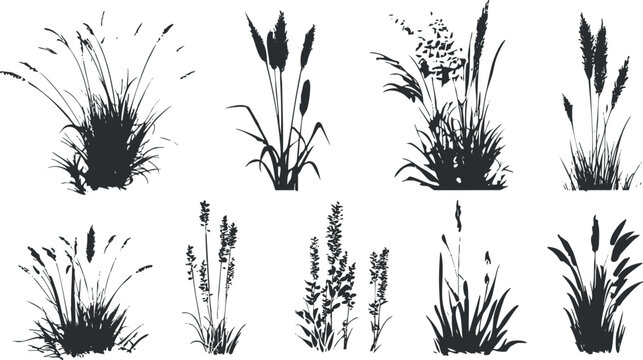 A collection of black silhouettes showcasing various types of grasses and wildflowers..