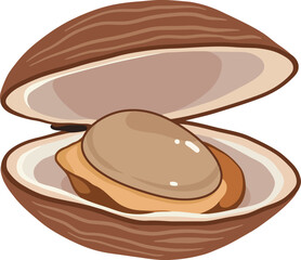 Fresh clam seafood illustration isolated open shell marine delicacy vector