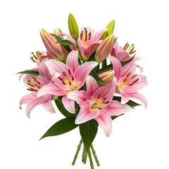 Fototapeta premium Bouquet of pink lilies isolated on transparent background