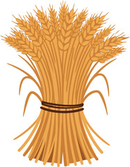 Golden wheat sheaf harvest agriculture organic food grain vector