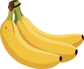 Fresh ripe bananas bunch healthy tropical fruit isolated vector © Your Vectors