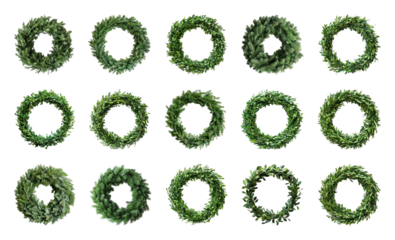 PNG Green wreaths arranged uniformly, element set on transparent background