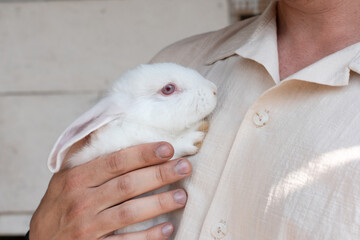 A white rabbit with red eyes on a man's chest
