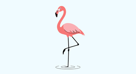 A single elegant pink flamingo standing on one leg in shallow water.