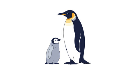 Fototapeta premium An adult emperor penguin stands next to its fluffy chick on a white background.