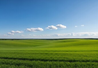 Fototapeta premium Serene Green Fields Inspire Growth and Renewal for Environmental Projects and Sustainable Business Initiatives