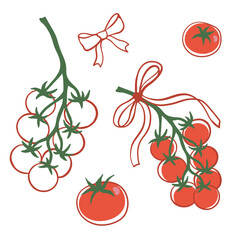 Vector illustration of tomato branches with ribbon bows. Decorative cherry tomatoes, ripe red fruits and fresh vegetables in simple hand drawn style. Organic design element for kitchen decor, healthy 