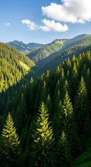 Obraz premium Scenic Mountain Forest View.