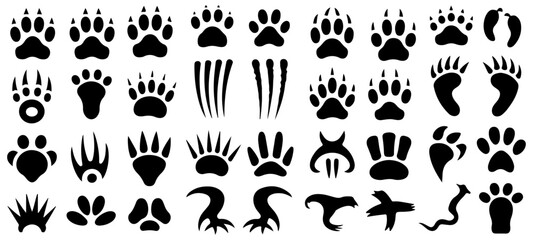 animal paw print and footprint vector set