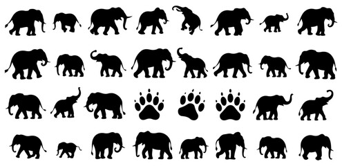 elephant silhouette vector set illustration © graphixecho