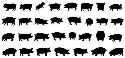 black pig silhouette vector set
