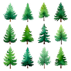 Fototapeta premium Watercolor Pine Trees Collection Set Illustration Evergreen Forest Coniferous Tree Christmas Design Elements Artistic Tree Isolated Background